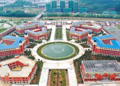 成都文軒職業(yè)學校雷電預(yù)警系統(tǒng)建設(shè)【易造防雷】