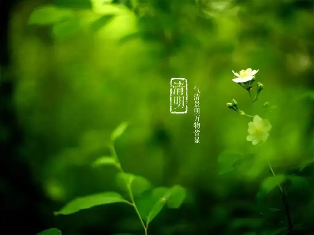 清明節(jié)——清明時節(jié)雨紛紛，路上行人欲斷魂