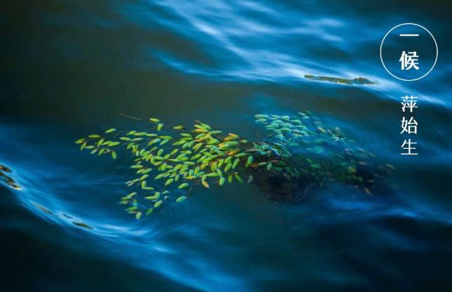 谷雨|雨生百谷,萬象更新 谷雨|雨生百谷,萬象更新