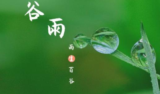 谷雨|雨生百谷,萬象更新 谷雨|雨生百谷,萬象更新