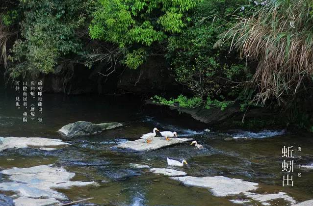 立夏六｜春光忽盡，夏木成陰【杭州易造】