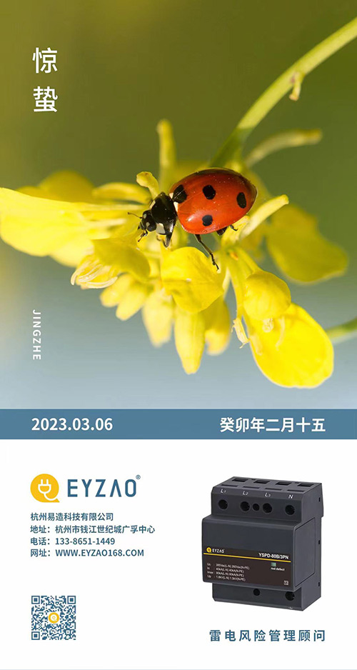 驚蟄-叫醒甜睡的春-易造防雷