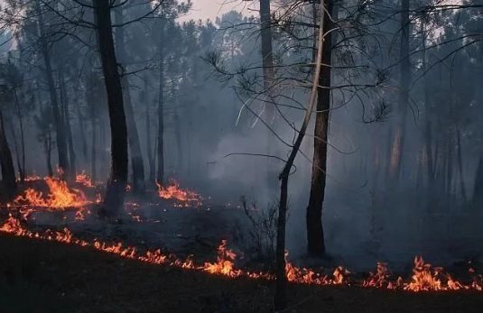 1692580728531915.png 1692580728531915.png